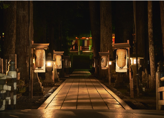 A lantern-lit stone path through tall cedars at night